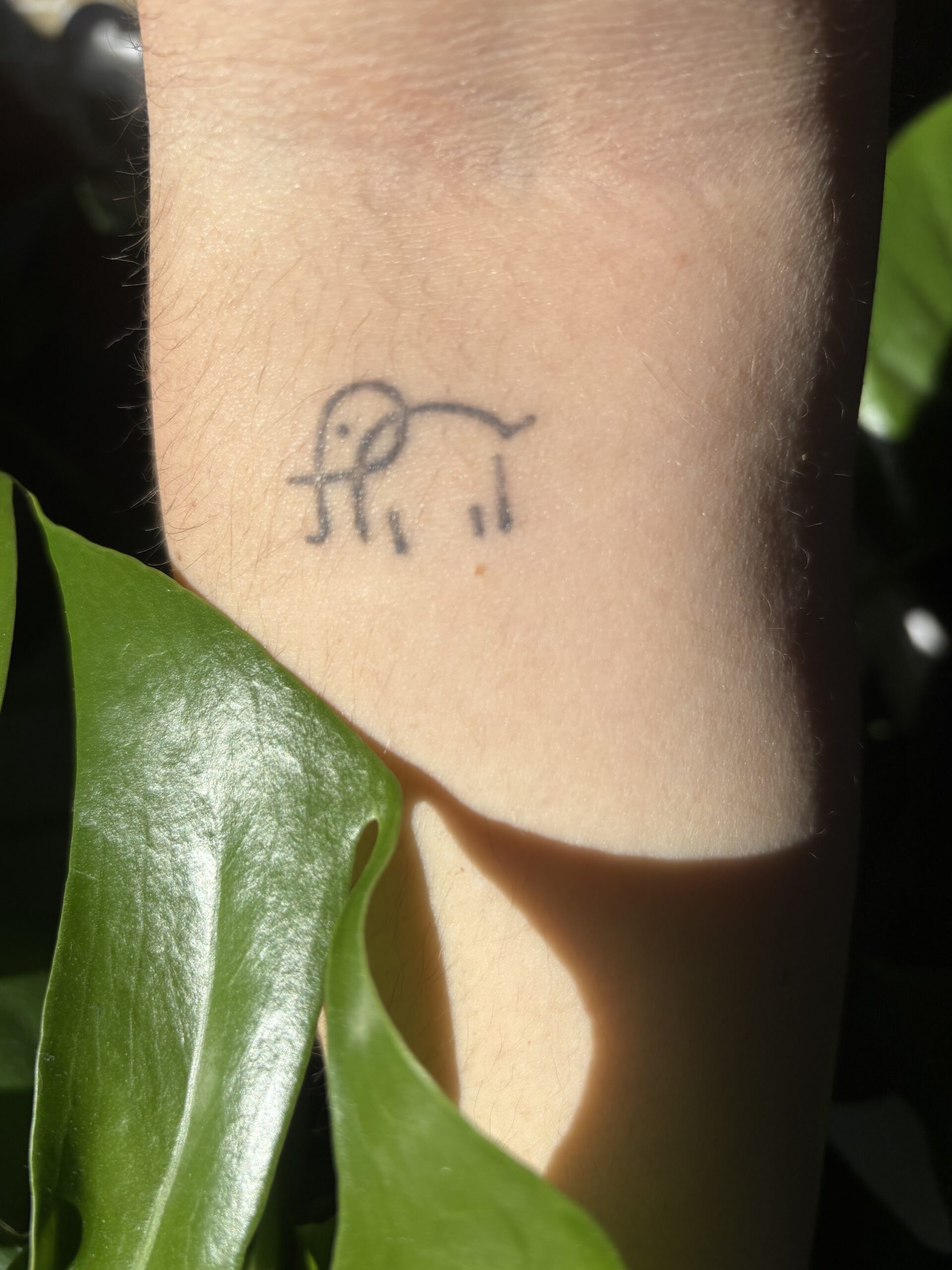 Elephant Tattoo